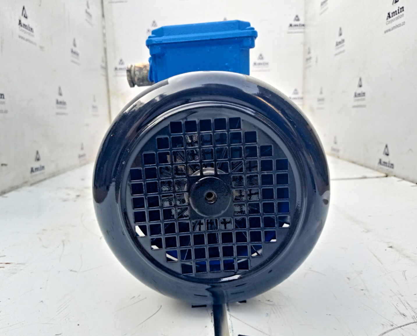 Iron pump BN 10-6L Progressive cavity single screw pump - Mfg.2020