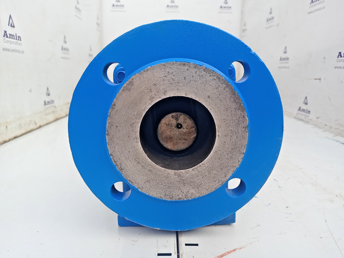 Iron pump BN 10-6L Progressive cavity single screw pump - Mfg.2020