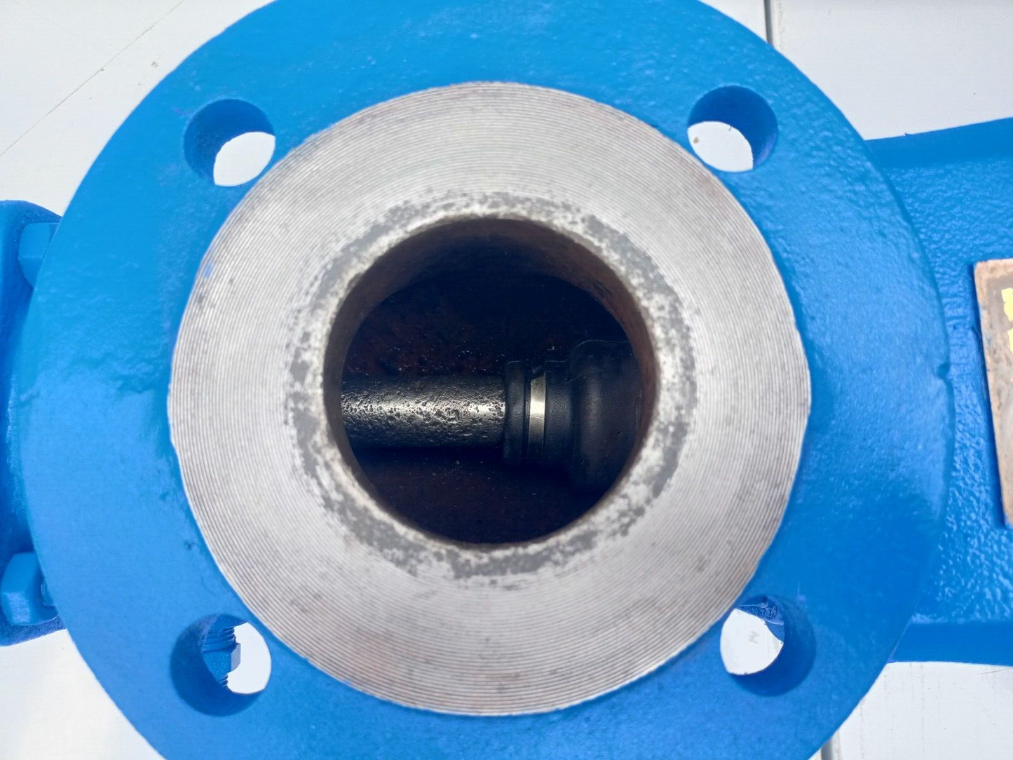 Seepex BN 5-6L Progressive cavity single screw pump