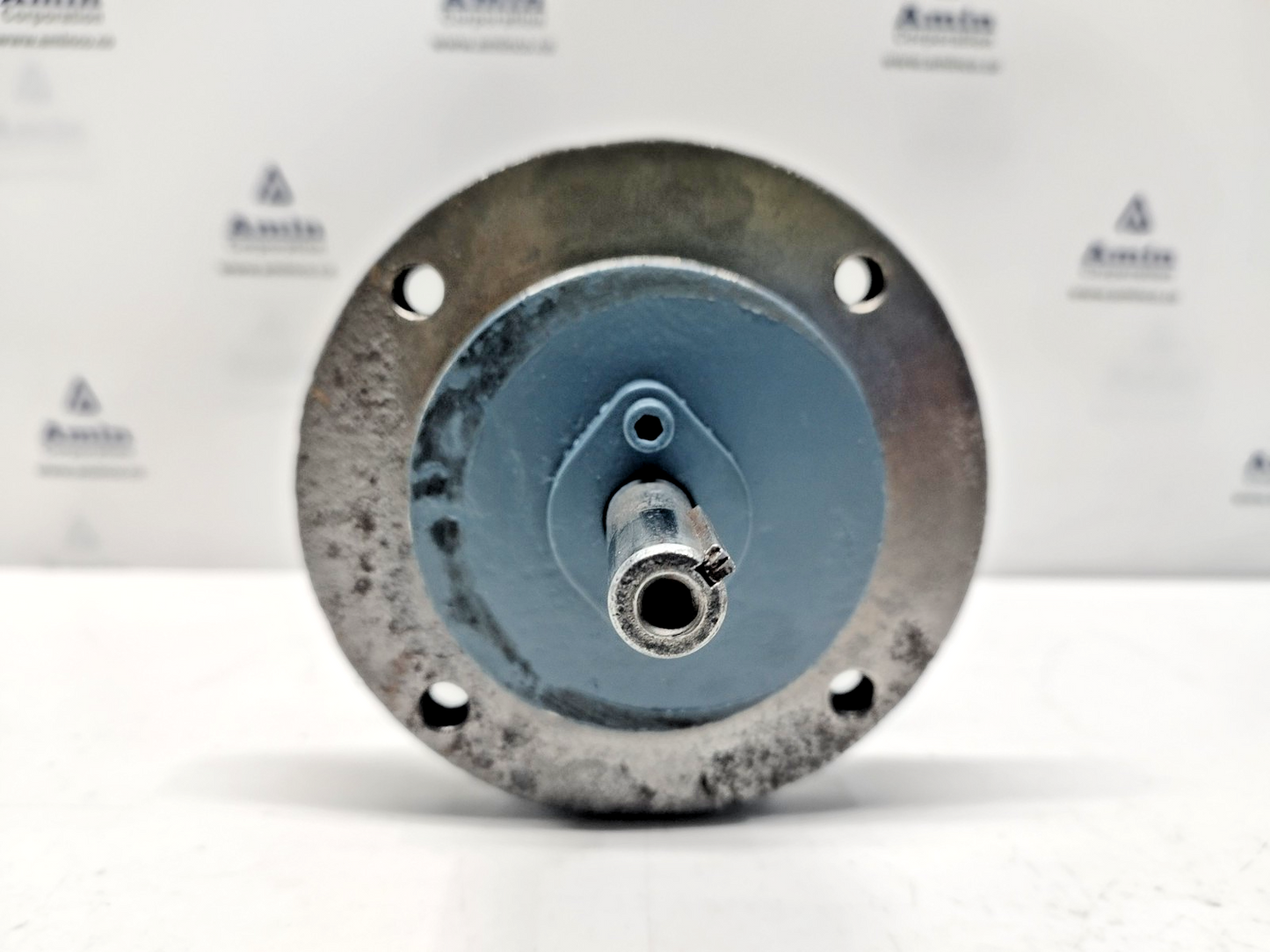 BSM- Brown & Sharpe No.1-S Flange mounted Rotary gear pump - Pressure Tested