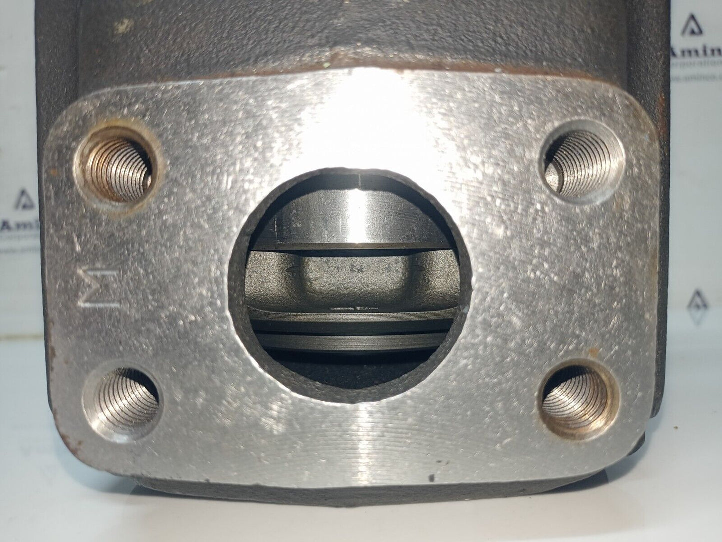 Denison Hydraulics T6CY 008 1R00 B1 Hydraulic Vane pump - NEW
