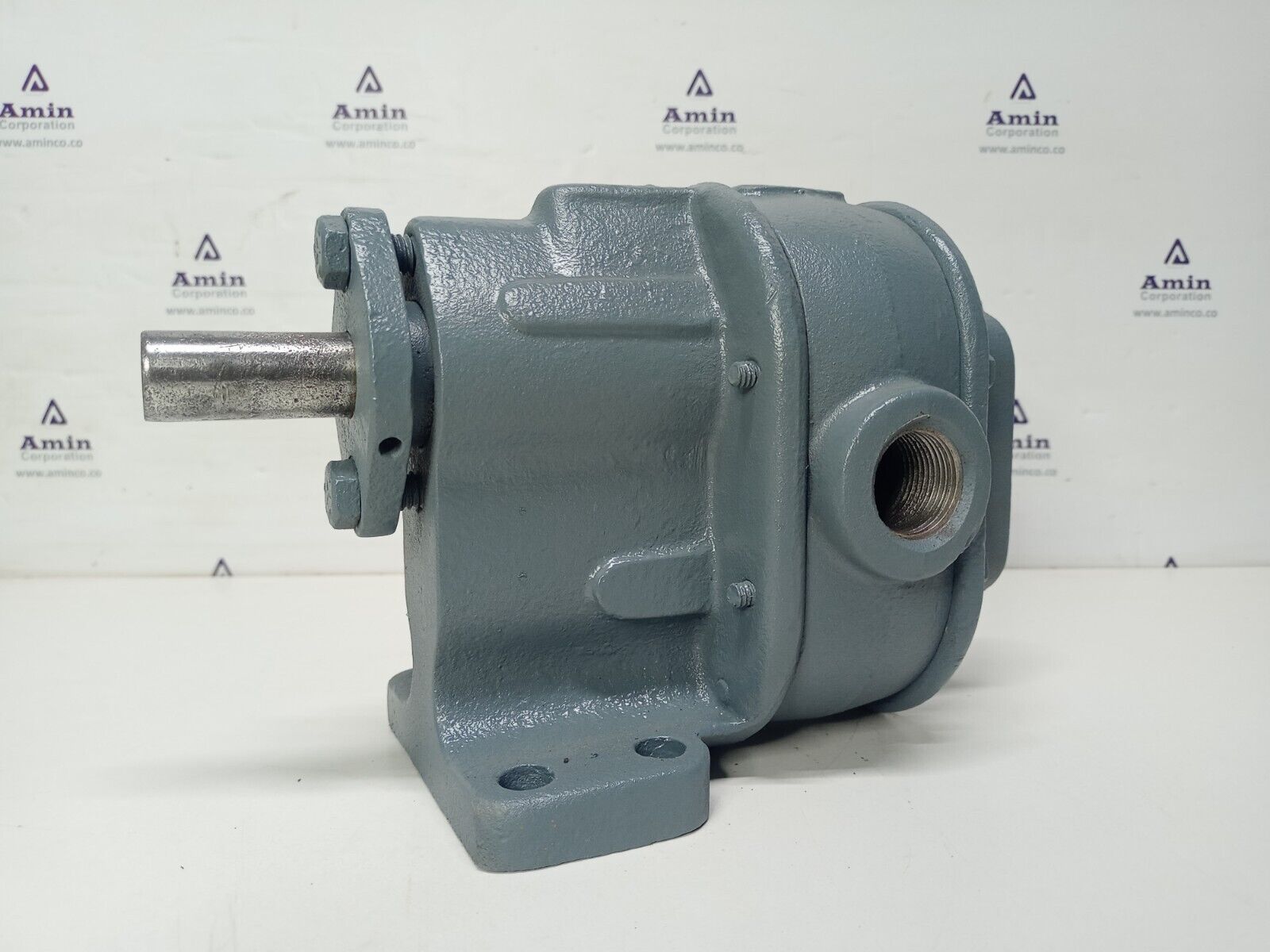 BSM- Brown & Sharpe No.3 Foot mounted Rotary gear pump