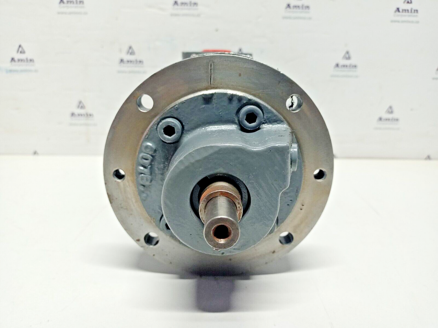 Leistritz L3MF 25/50 Triple screw pump oil transfer pump