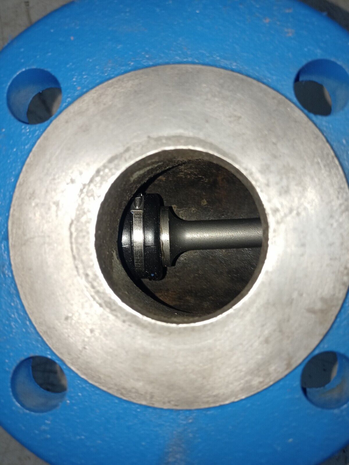 Allweiler AE 1E50-ID/111 P01 Progressive cavity single screw pump