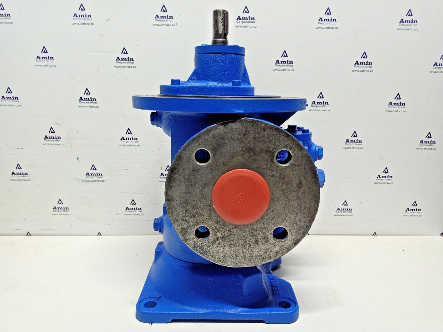 Netzsch LN48/80-S0-6L Double screw pump