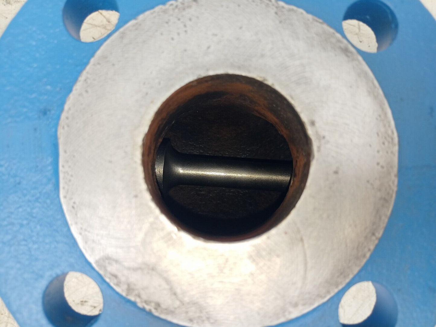 DVZ-Services DVZ 25.1 Progressive cavity single screw pump