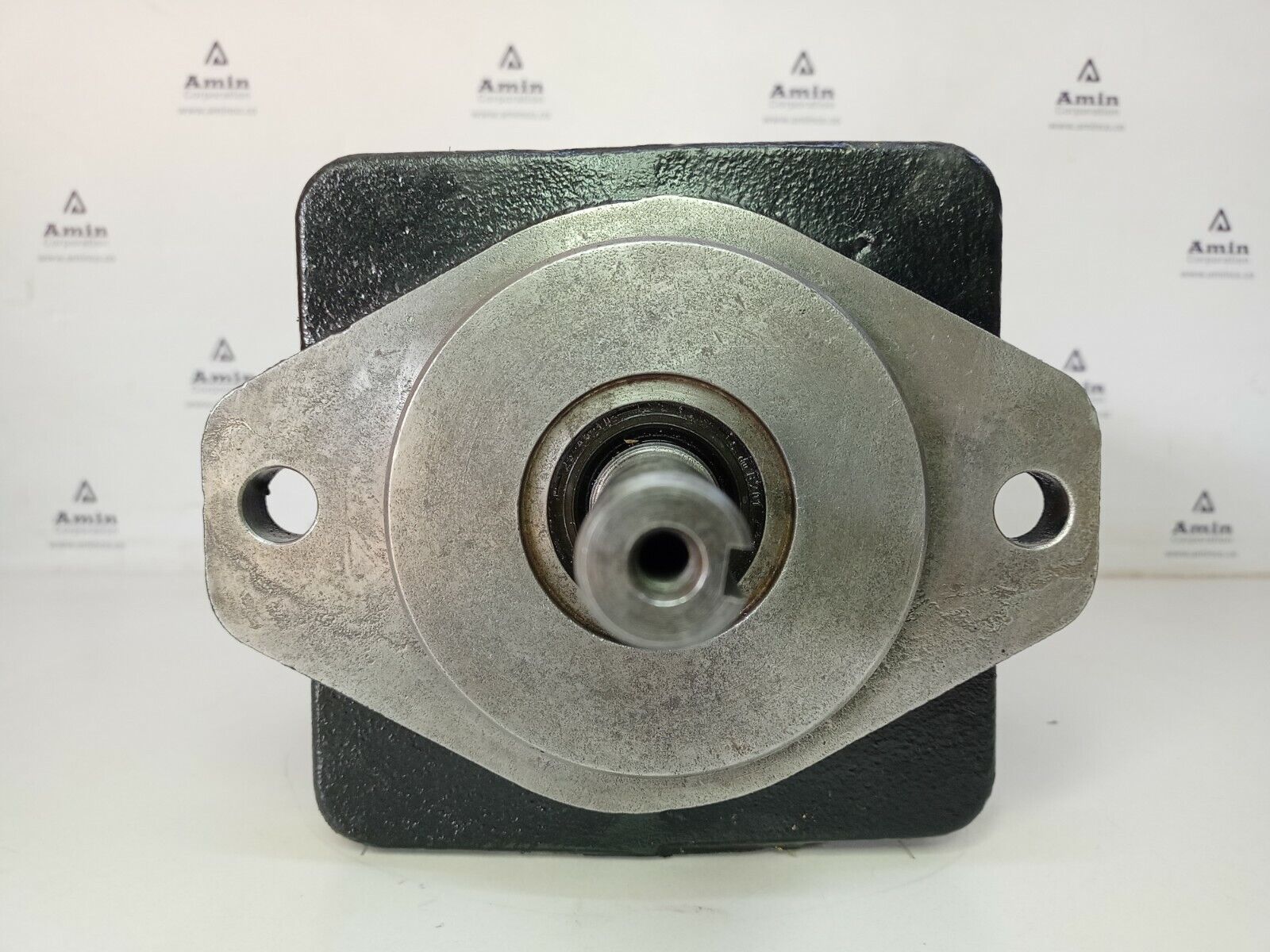Denison Hydraulics T7BS B14 1R00 A1M0 Hydraulic vane pump