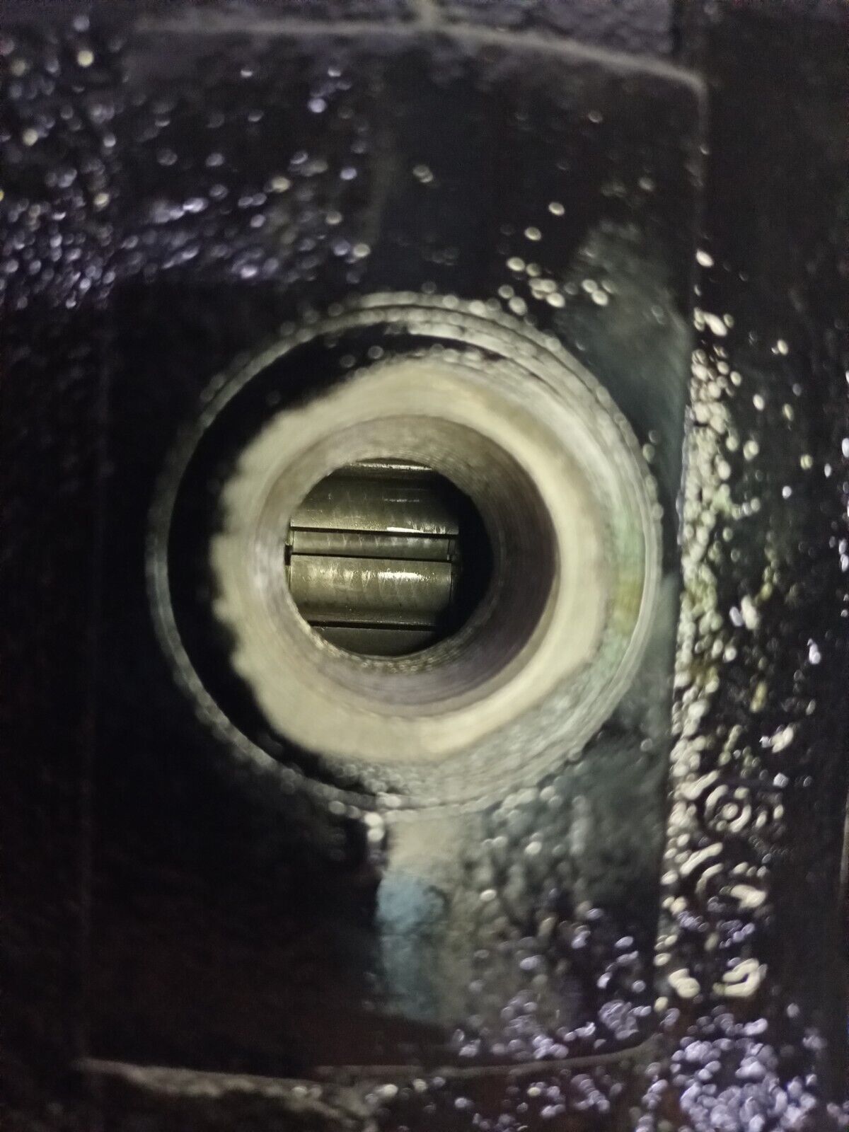 P&R Hydraulics P15X107BEXX07-16 Hydraulic gear pump