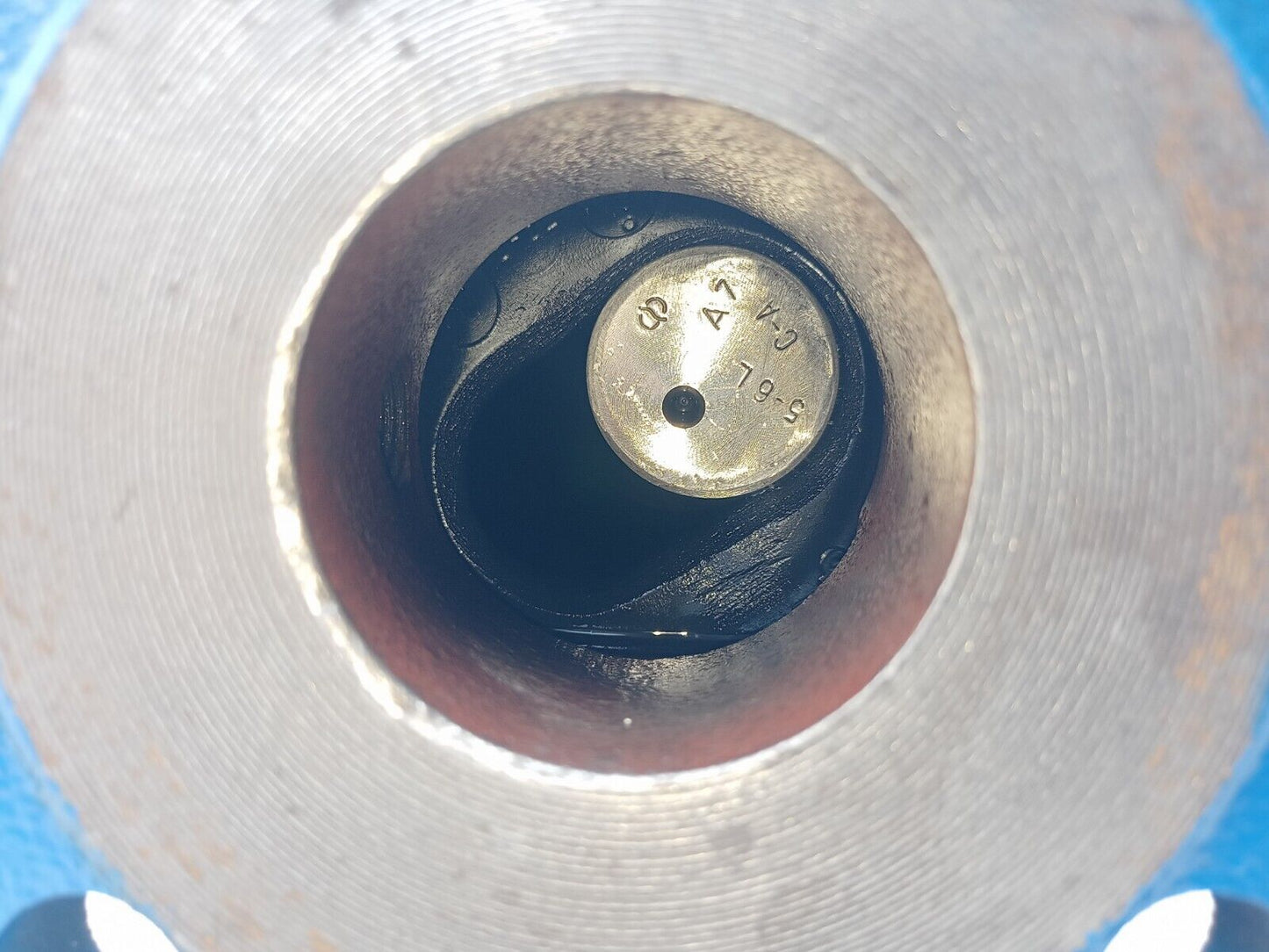 Seepex 5-6LBN Progressive cavity single screw pump
