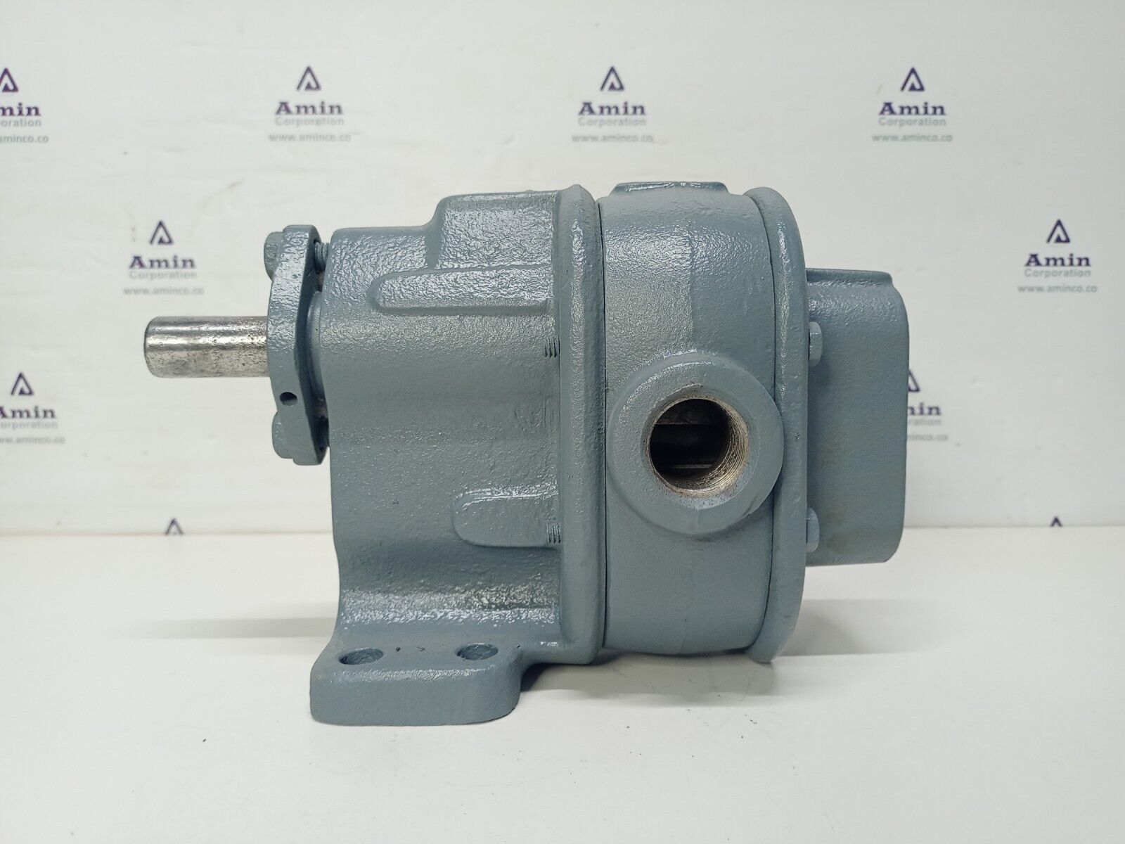 BSM- Brown & Sharpe No.3 Foot mounted Rotary gear pump