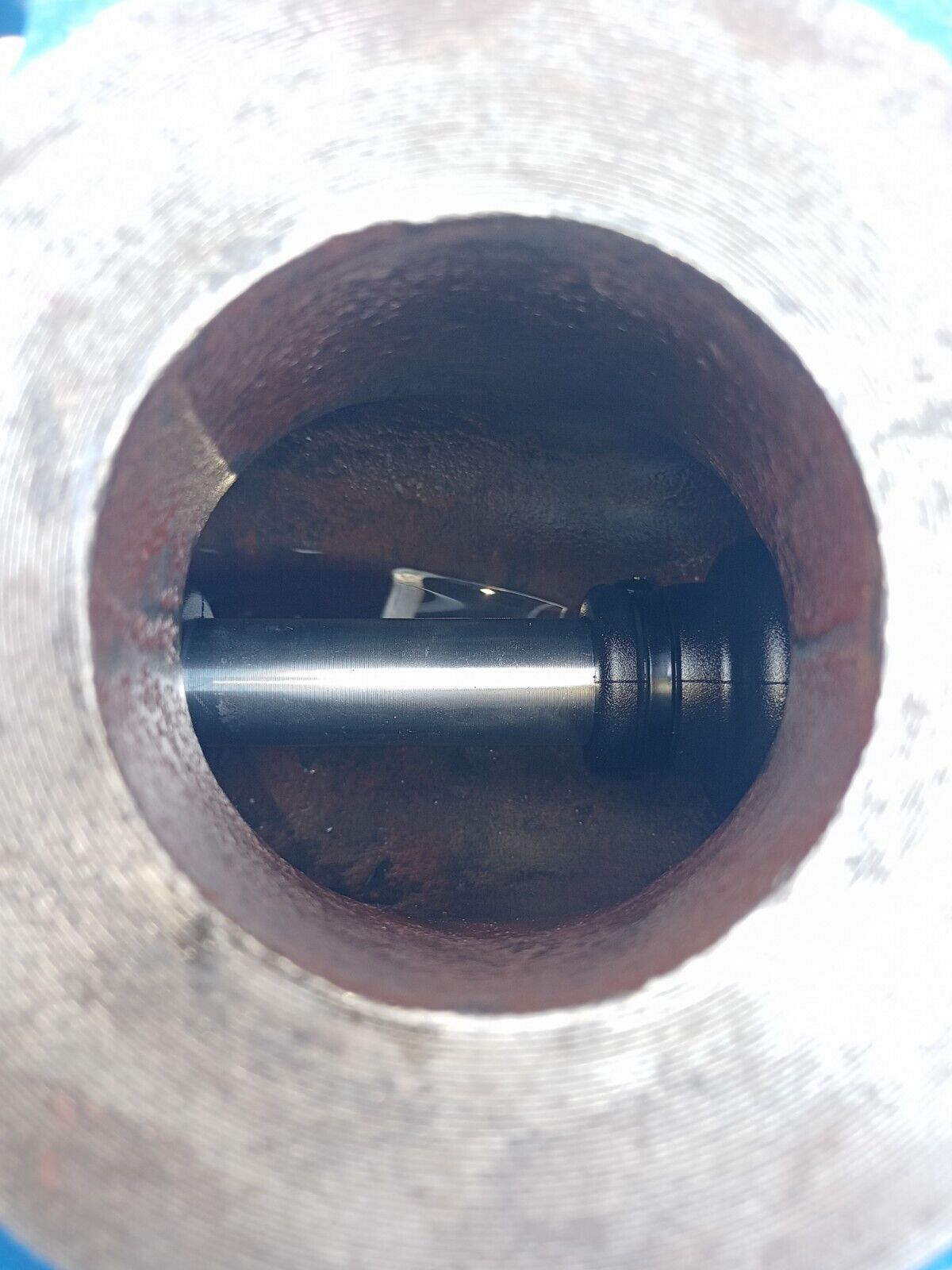 Seepex 5-6LBN Progressive cavity single screw pump