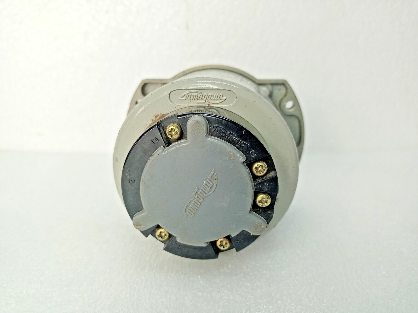 TAMAGAWA TS21E11 Synchro Motor (100110V 5060Hz)