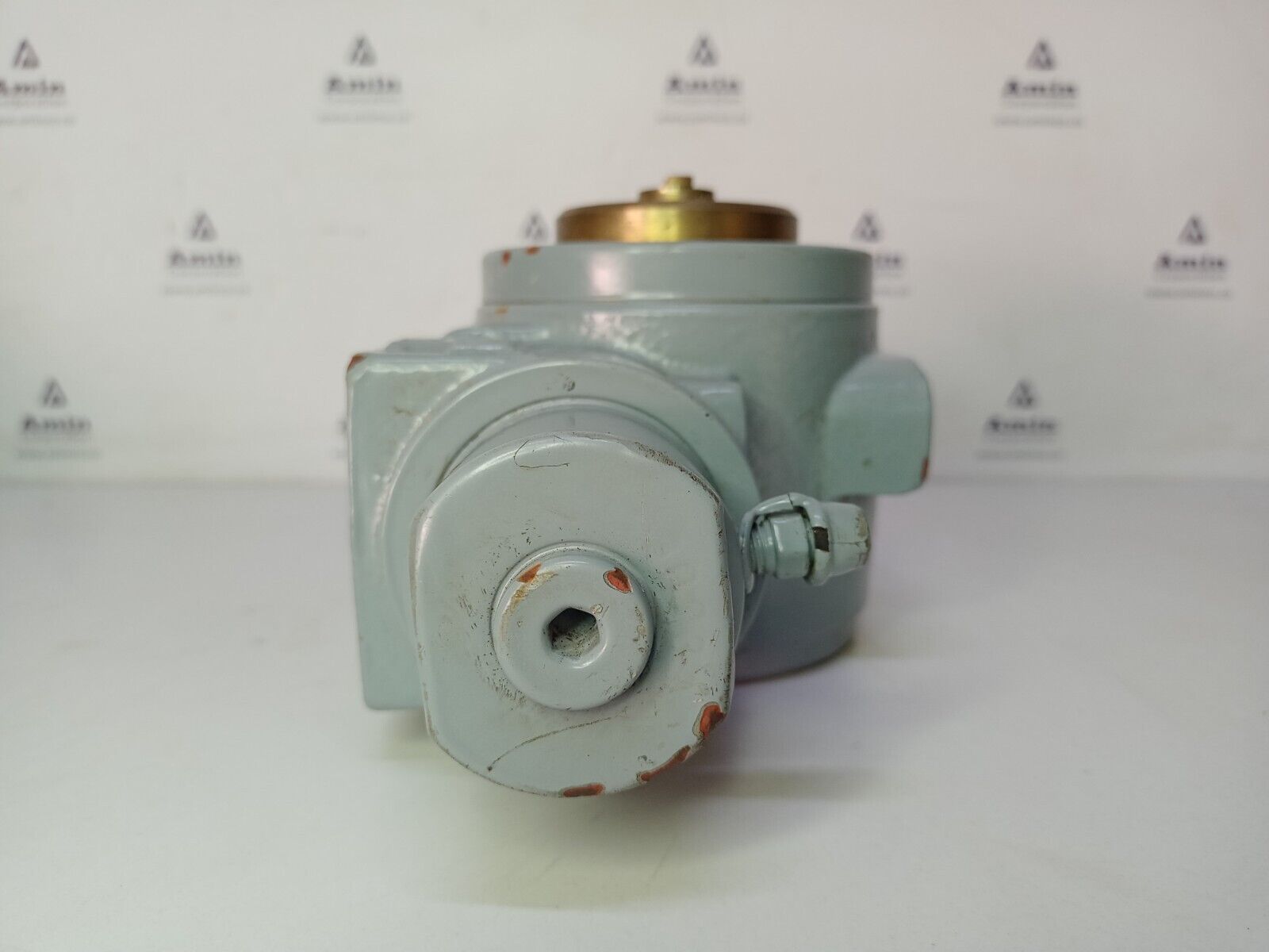Scana RA2 05 H1 0B Hydraulic Double acting actuator