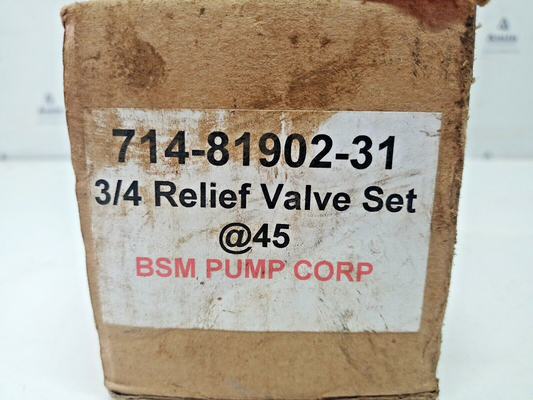 BSM- Brown & Sharpe 714-81902-31 3/4'' Relief valve - NEW IN BOX Free shipping