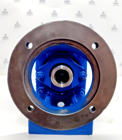 RWO AEP-5 Progressive Cavity Single Screw Sludge Pump - NEW