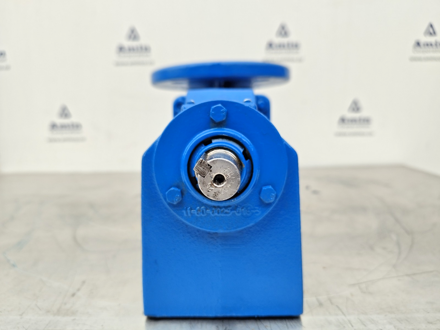 Allweiler AE 1E 50-ID/111P01 Progressive cavity single screw pump - Tested #2