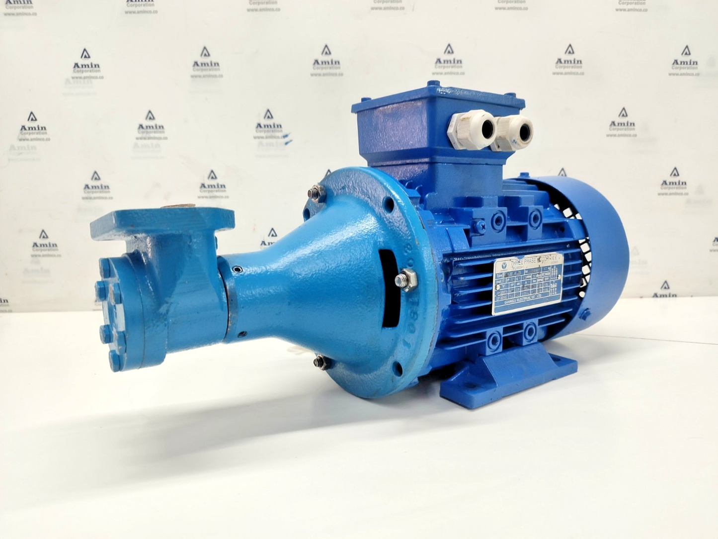 Viking Pump FV912 9320848 With Motor 0.55/0.66kw, 50/60hz, 1380-1668rpm - TESTED
