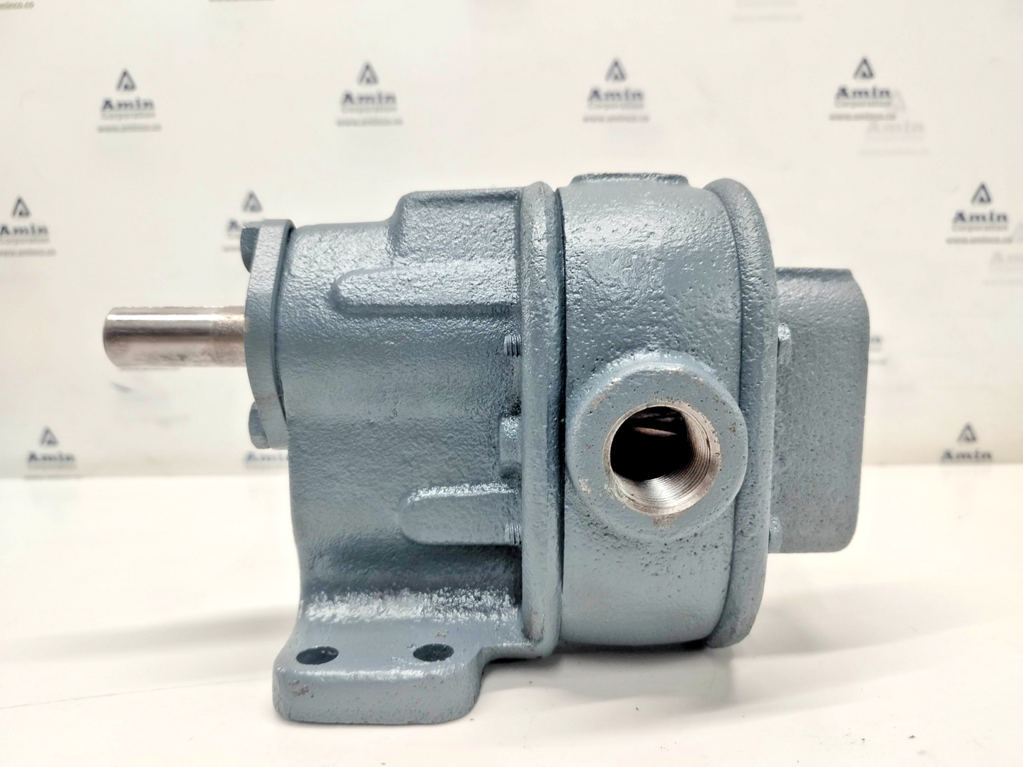 BSM- Brown & Sharpe No.3-S Foot Mounted Rotary Gear Pump - Pressure Tested