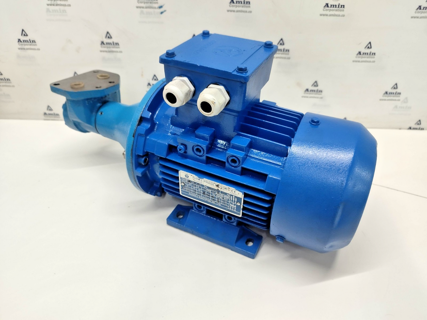 Viking Pump FV912 9320848 With Motor 0.55/0.66kw, 50/60hz, 1380-1668rpm - TESTED