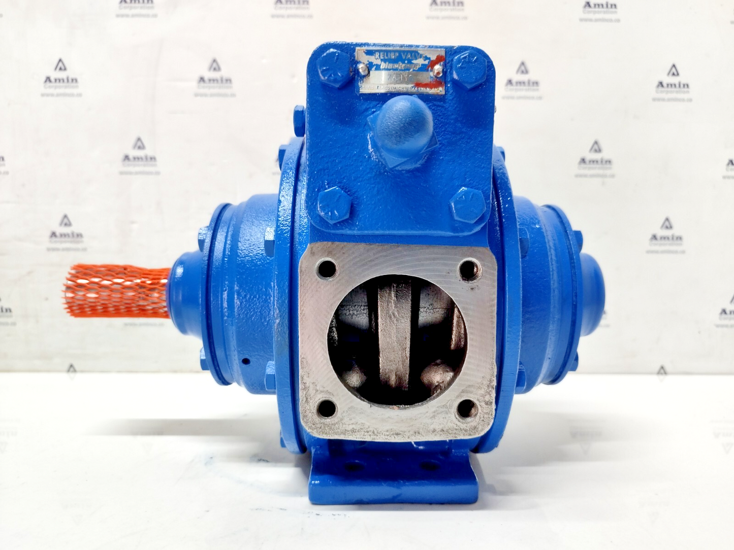 Blackmer TX2A Positive Displacement Sliding-vane Truck Pump