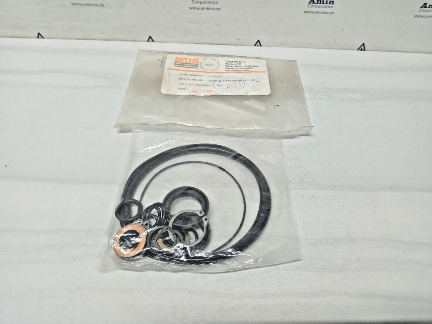 Bettis Actuator CBA520/SR/M3-00 Service Kit - NEW