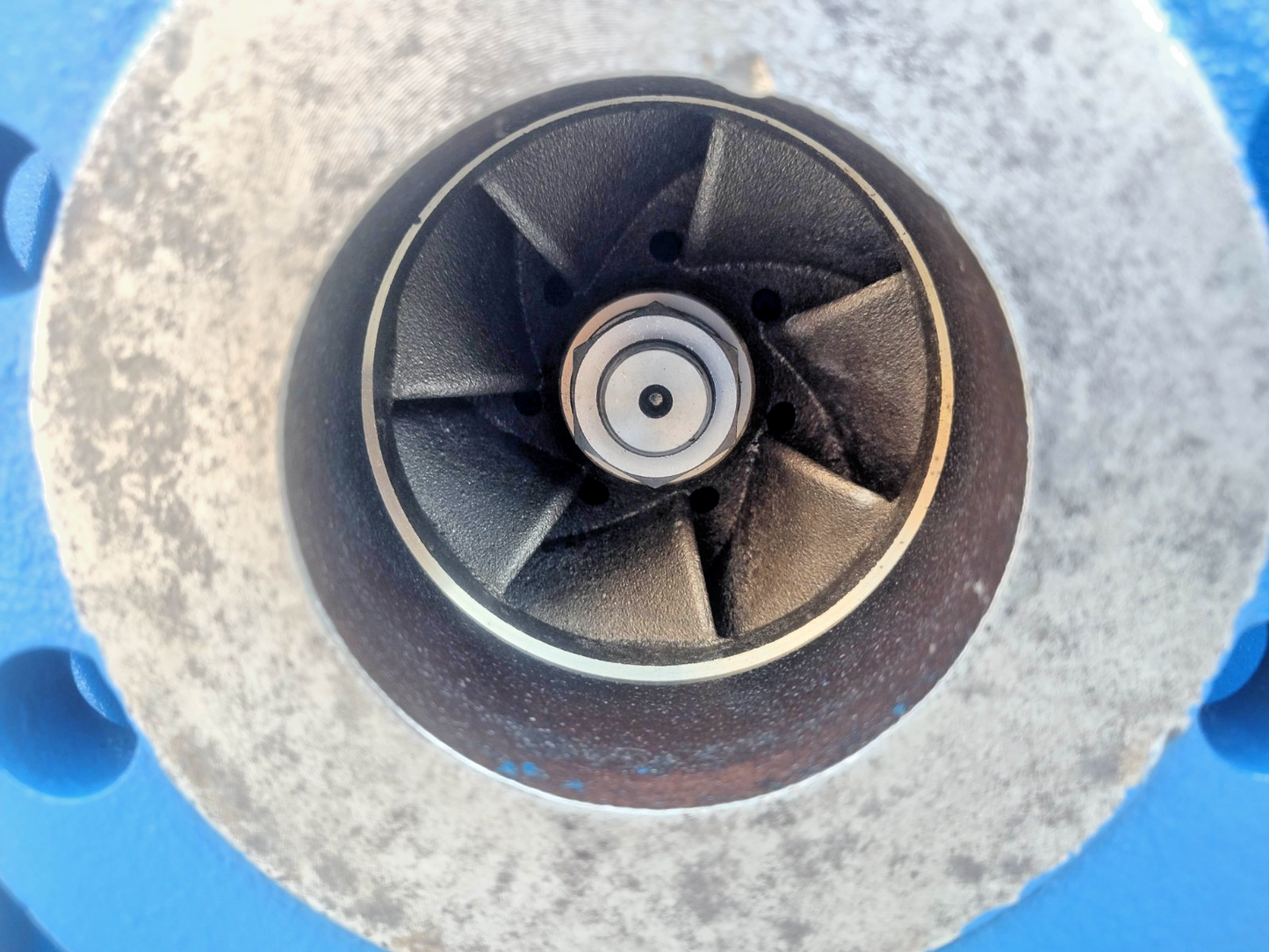 Allweiler NT 65-200/02/199 U3.1D-W134 Centrifugal Pump - NEW