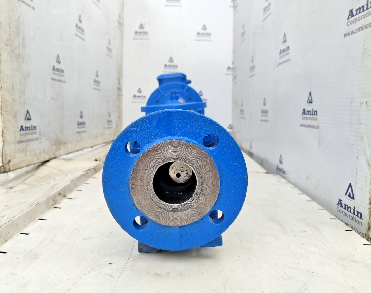 Seepex BN 5-6L Progressive Cavity Single Screw Pump With Motor - Tested