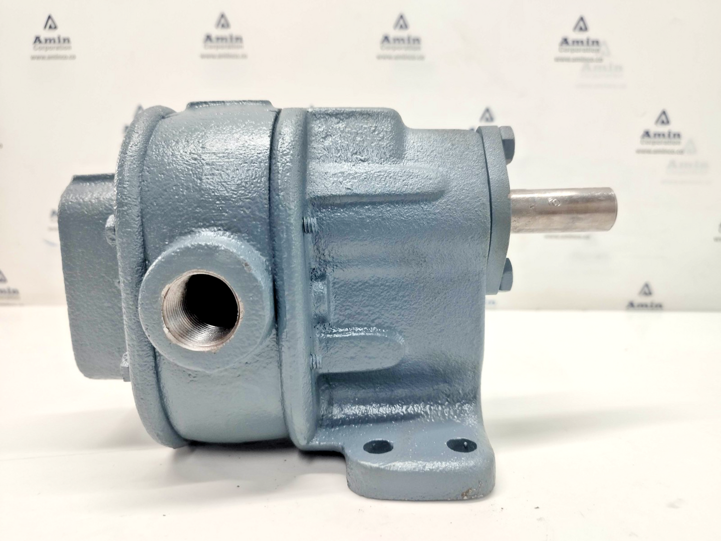 BSM- Brown & Sharpe No.3-S Foot Mounted Rotary Gear Pump - Pressure Tested