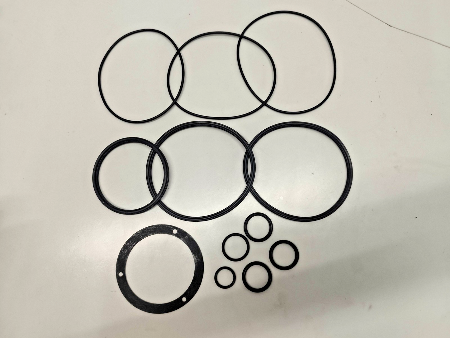 Damcos/Danfoss Seal Kit For BRC 022-A1 P/N: 219-0310 - NEW