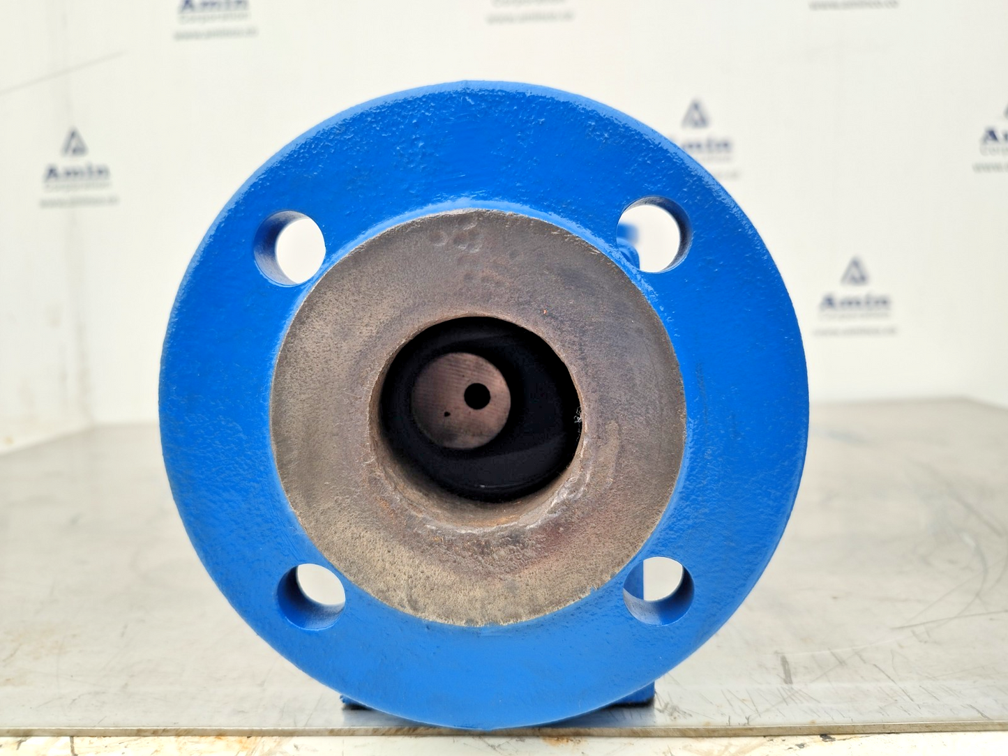 Allweiler AE 1E 50-ID/111P01 Progressive cavity single screw pump - Tested #2