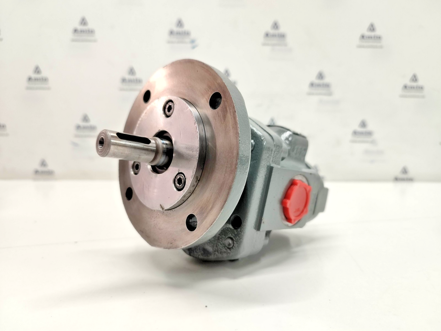 Kracht KF1/24 D10K P0A 0DD1 Hydraulic Gear Pump