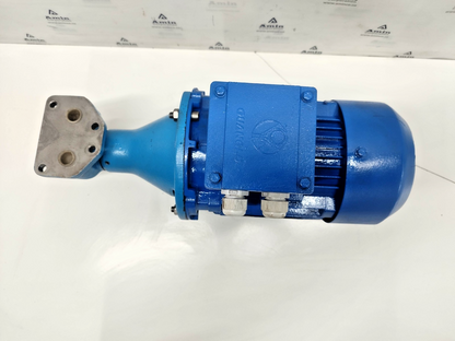 Viking Pump FV912 9320848 With Motor 0.55/0.66kw, 50/60hz, 1380-1668rpm - TESTED