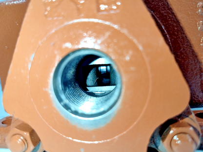 21e9a916-7a1b-46ee-ab4b-268fdc3ad899