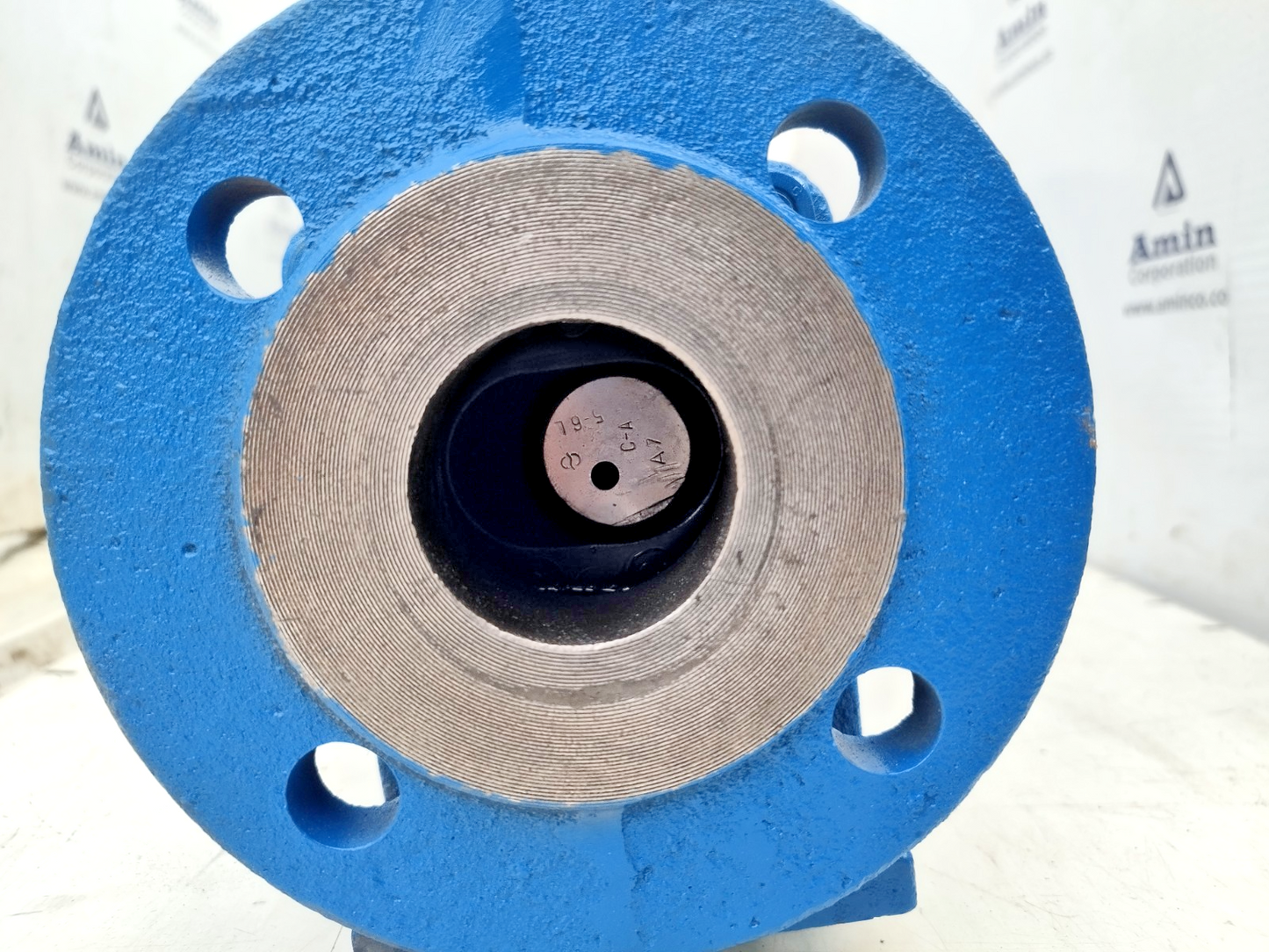 Seepex BN 5-6L Progressive Cavity Single Screw Pump With Motor - Tested
