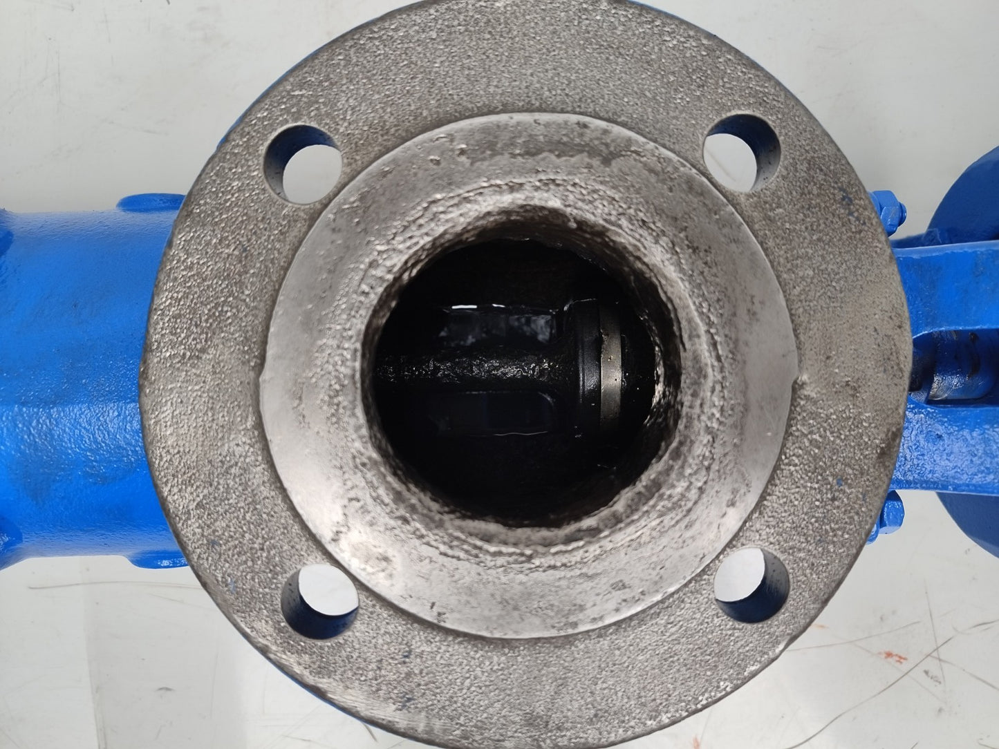 Allweiler AG AEB 1E 100 Progressive cavity single screw pump - Pressure tested