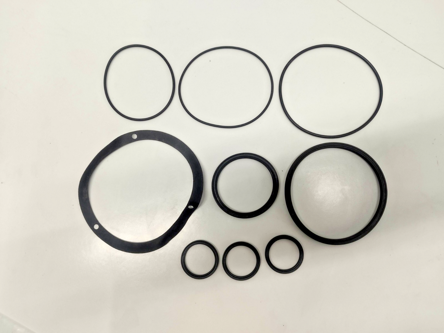 Damcos/Danfoss Seal Kit For BRC 012-A1  P/N: 219-0389 - NEW