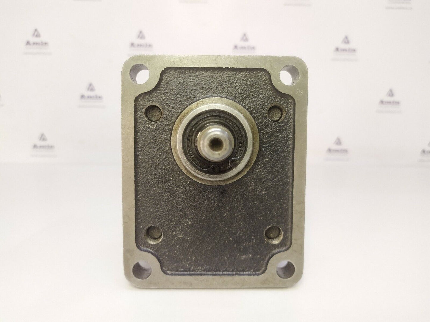 Casappa PLP20.8D0 Hydraulic gear pump - TESTED PUMP