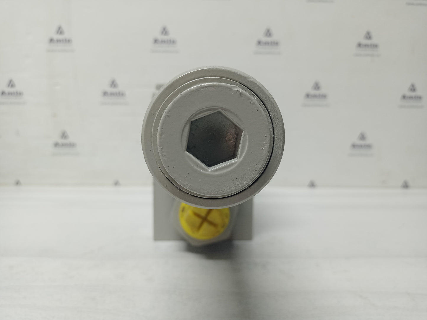 Bucher Hydraulics LBV-20 GO-860-15 Hydraulic Brake valve - New