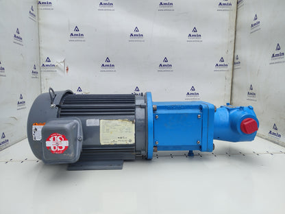 Viking pump HL495 Motor speed Rotary gear pump with 3HP motor - NEW