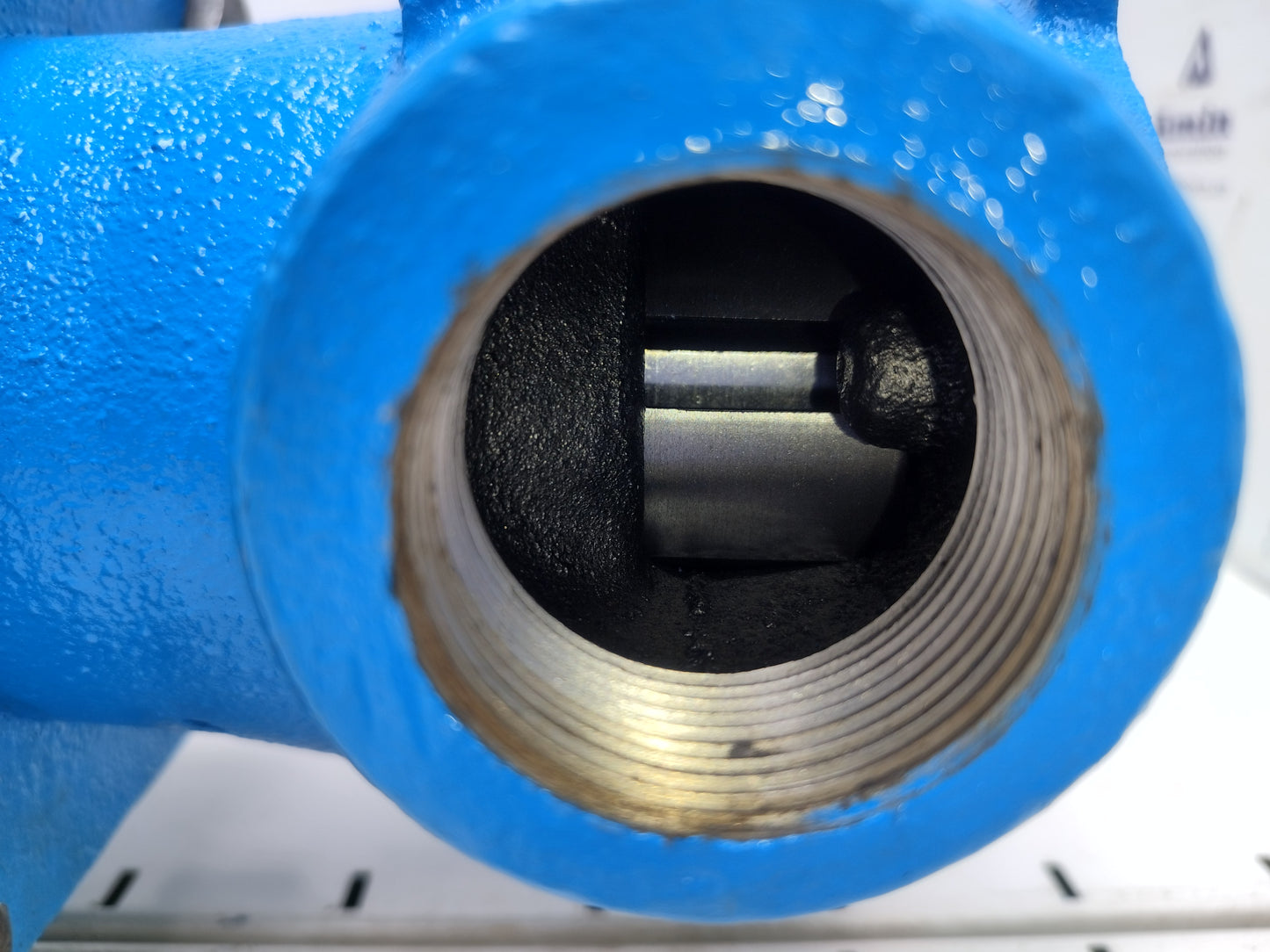 Viking pump HL495 Motor speed Rotary gear pump with 3HP motor - NEW