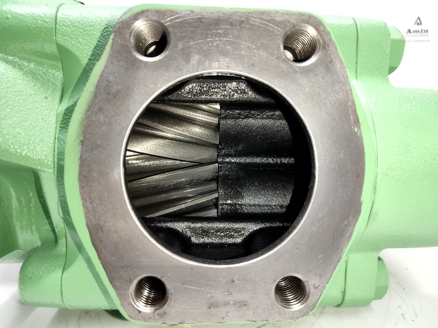 Rickmeier R65/250 FL-Z-DB-SO Hydraulic Gear Pump