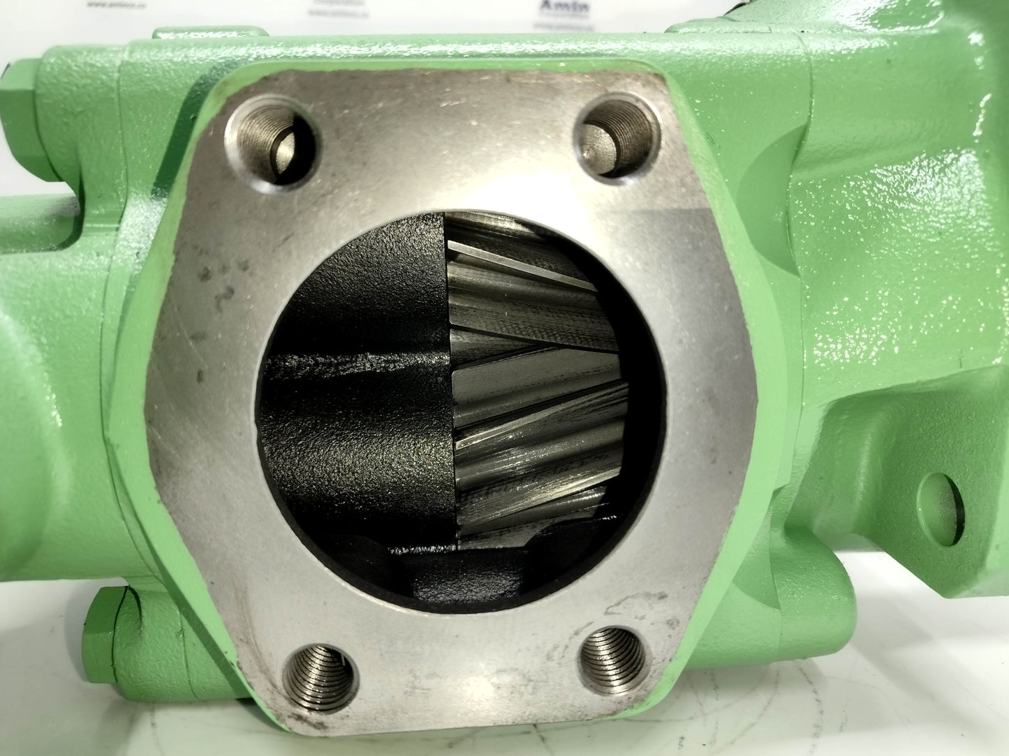 Rickmeier R65/250 FL-Z-DB-SO Hydraulic Gear Pump