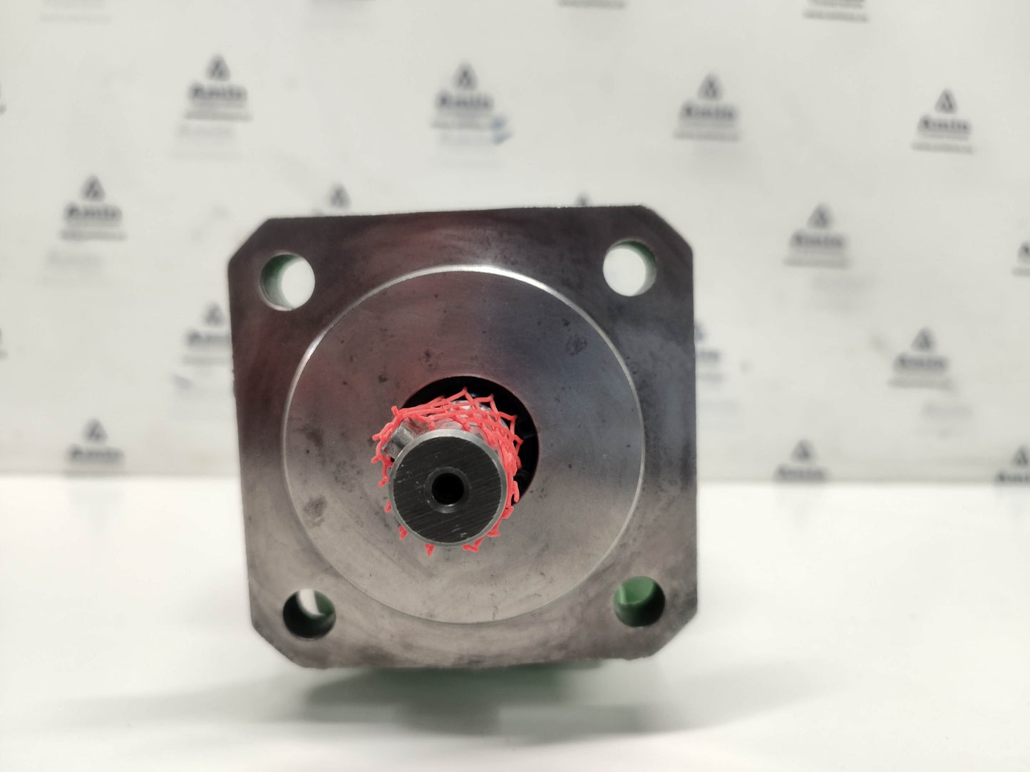 Rickmeier R35/31.5 FL-Z Hydraulic Gear Pump - NEW #2