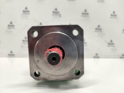 Rickmeier R35/31.5 FL-Z Hydraulic Gear Pump - NEW #2