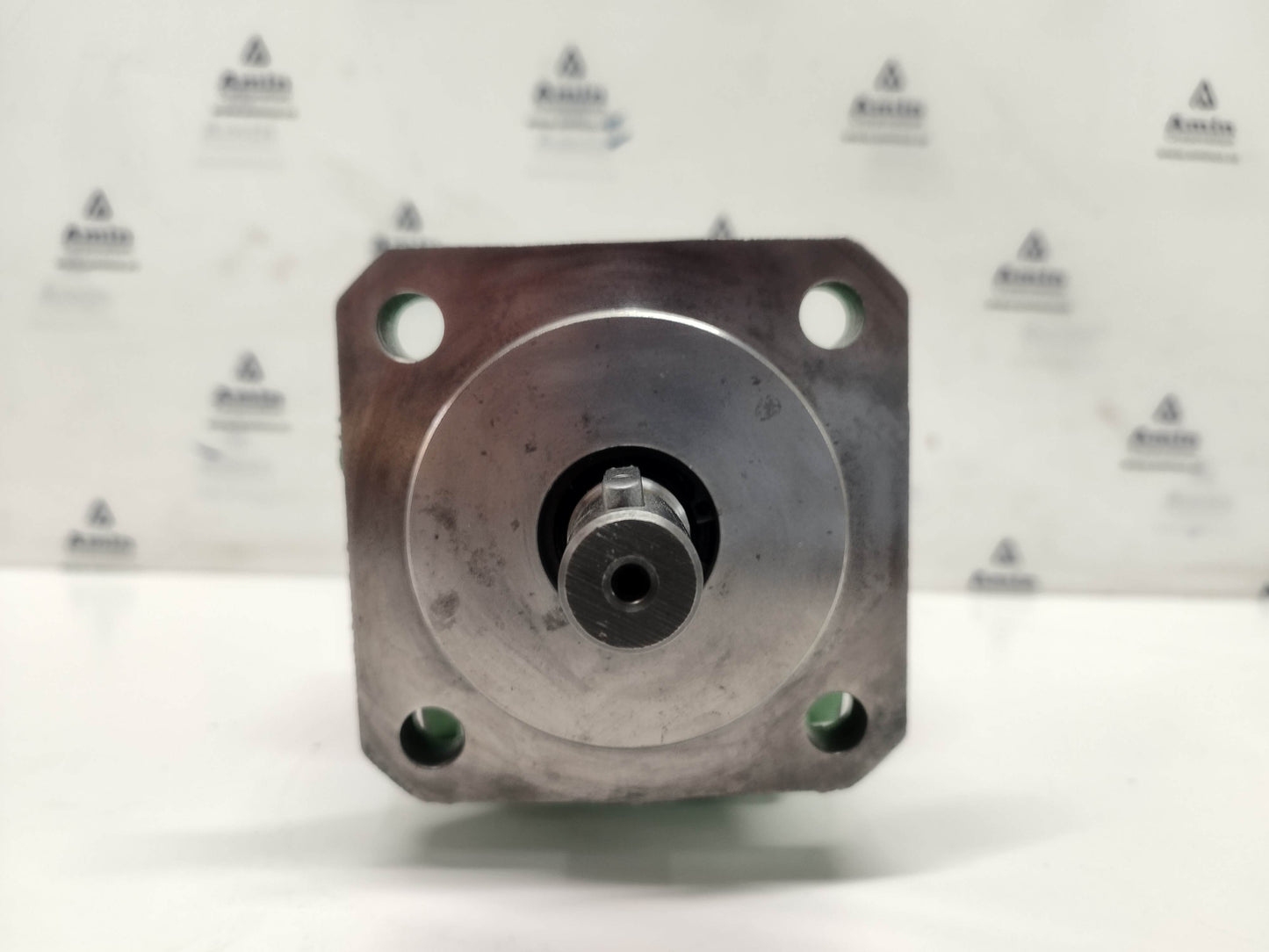 Rickmeier R35/31.5 FL-Z Hydraulic Gear Pump - NEW #2