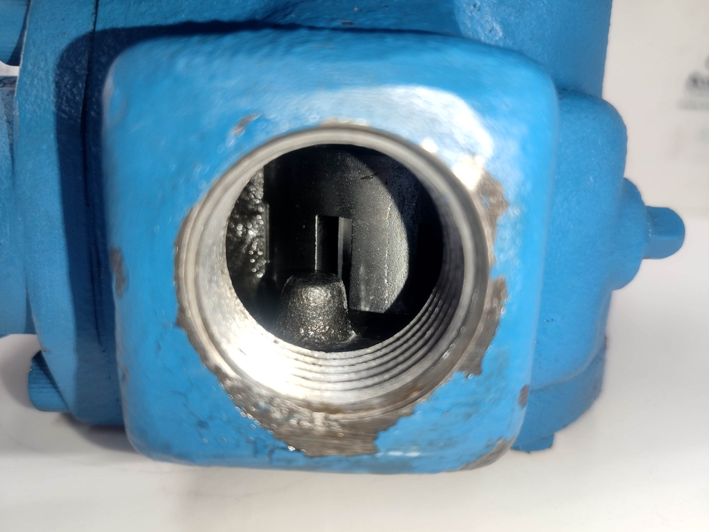 Viking Pump 228043-002 Motor Speed Internal Gear Pump - Refurbished