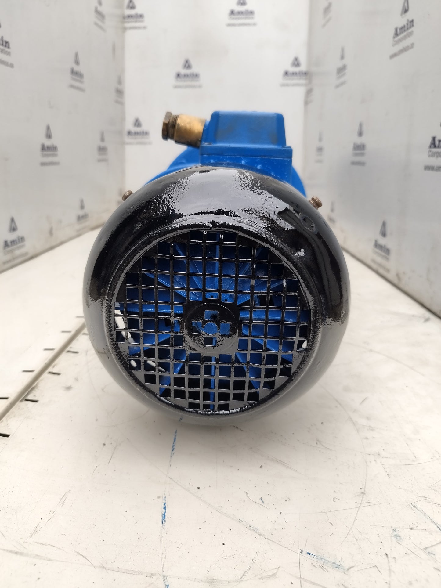 Allweiler AG SEBP 200.1E11P01 Progressive cavity single screw pump - Tested #3